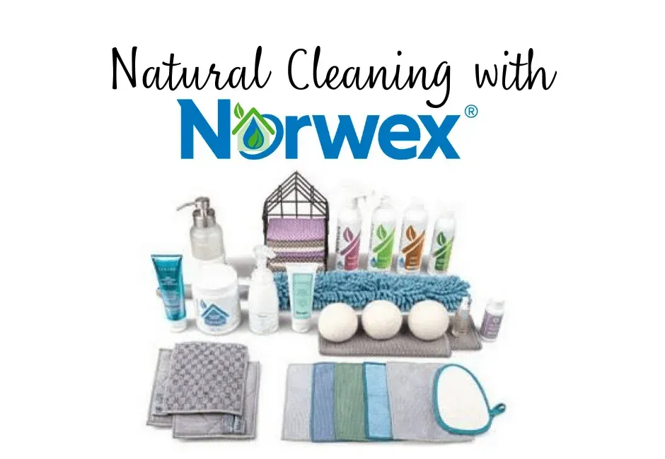 Experience personalized and professional cleaning services tailored for your home, office, or rental, with consistent excellent reviews.