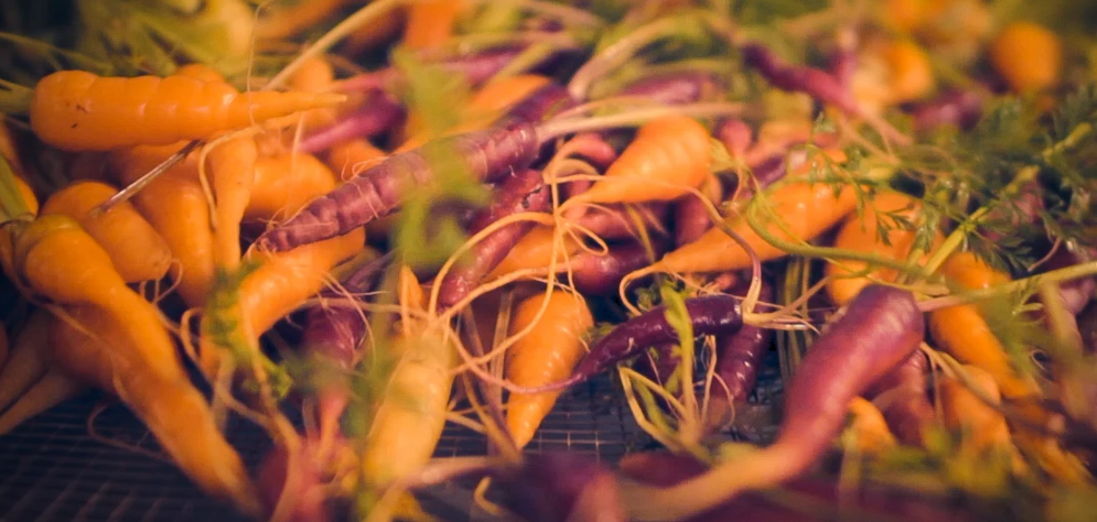 Steadfast Farm in Mesa, AZ