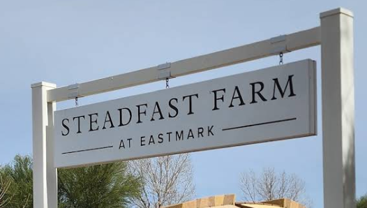 Steadfast Diner in Mesa, AZ